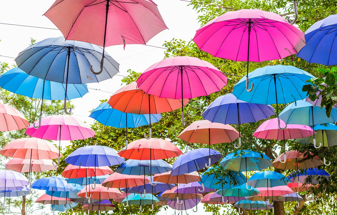 Umbrella Wallpapers