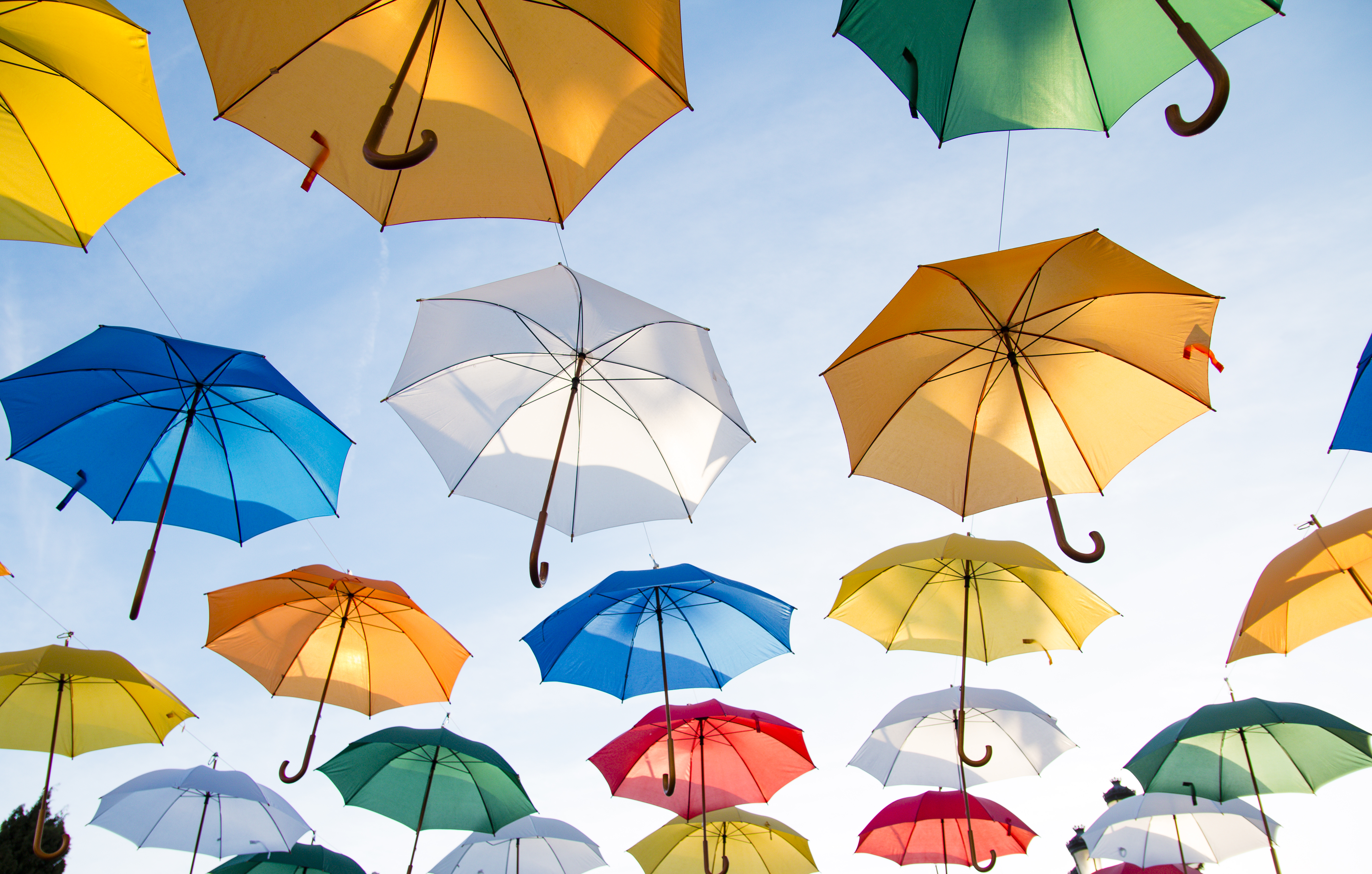 Umbrella Wallpapers