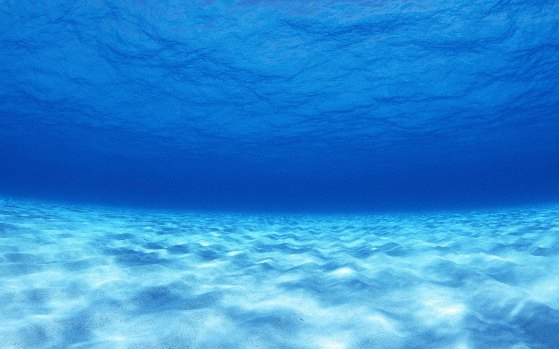 Underwater Hawaii Ocean Wallpapers