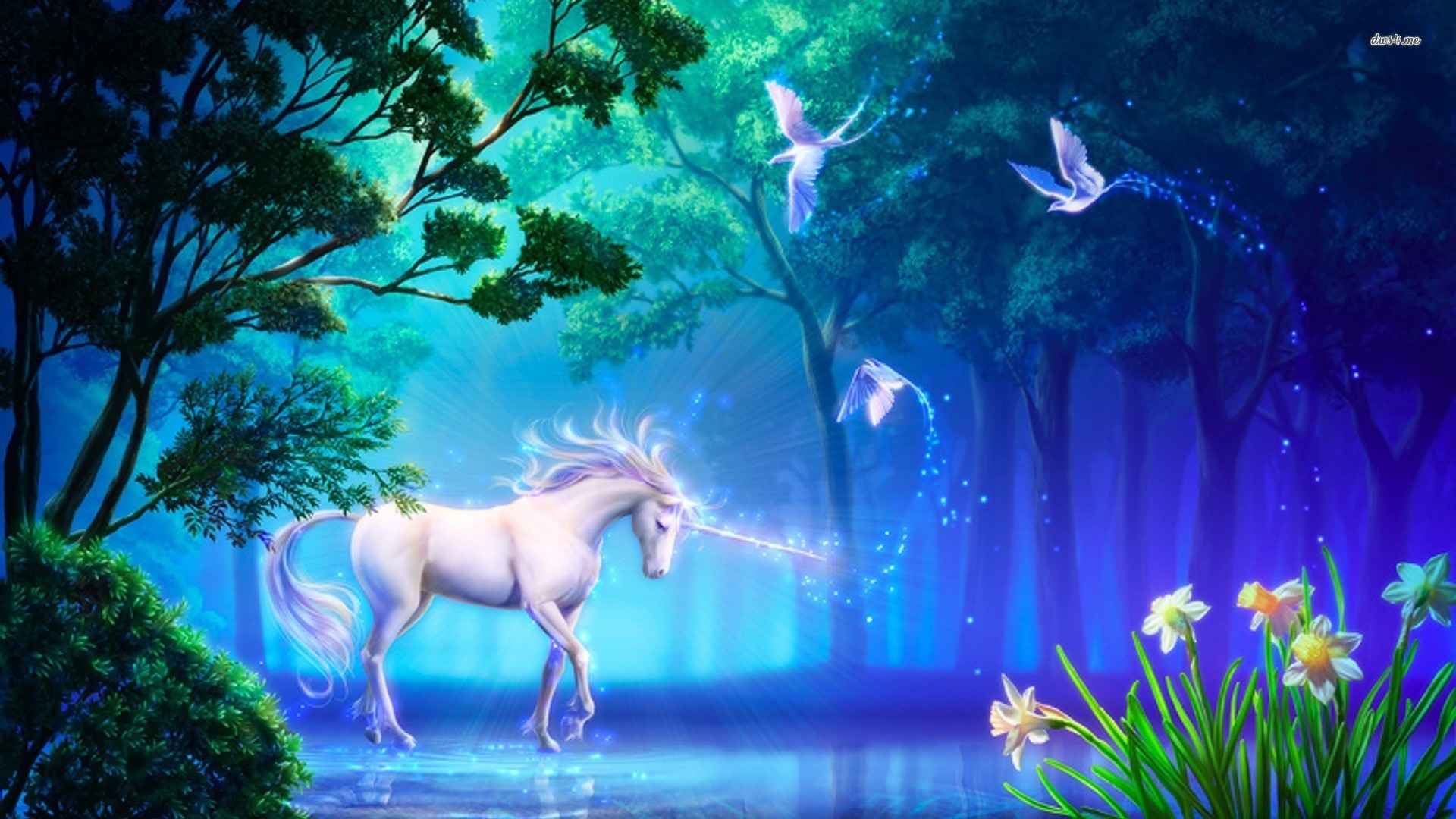 Unicorn Pc Wallpapers