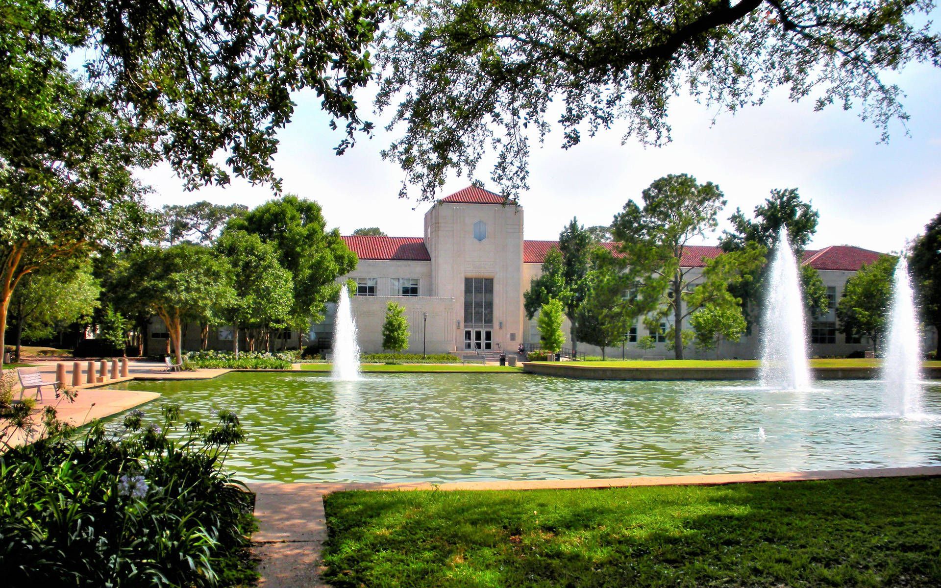 University Of Houston Wallpapers