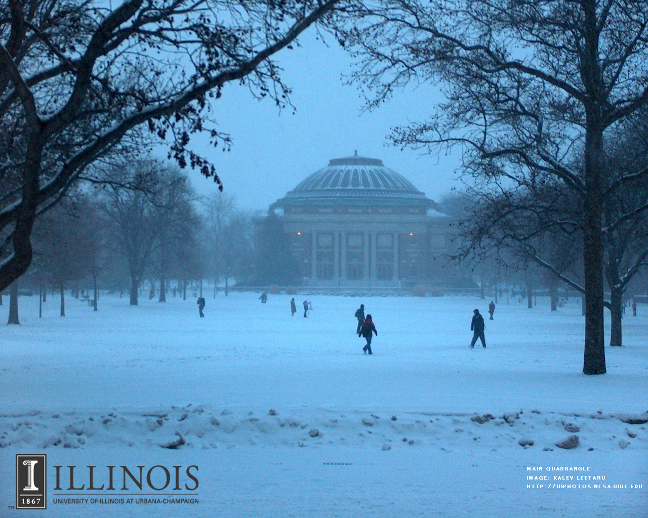 University Of Illinois Wallpapers