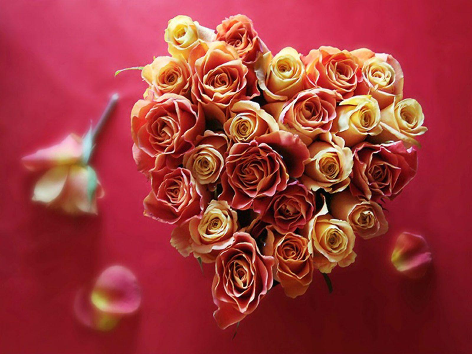 Valentine Flower Picture Wallpapers