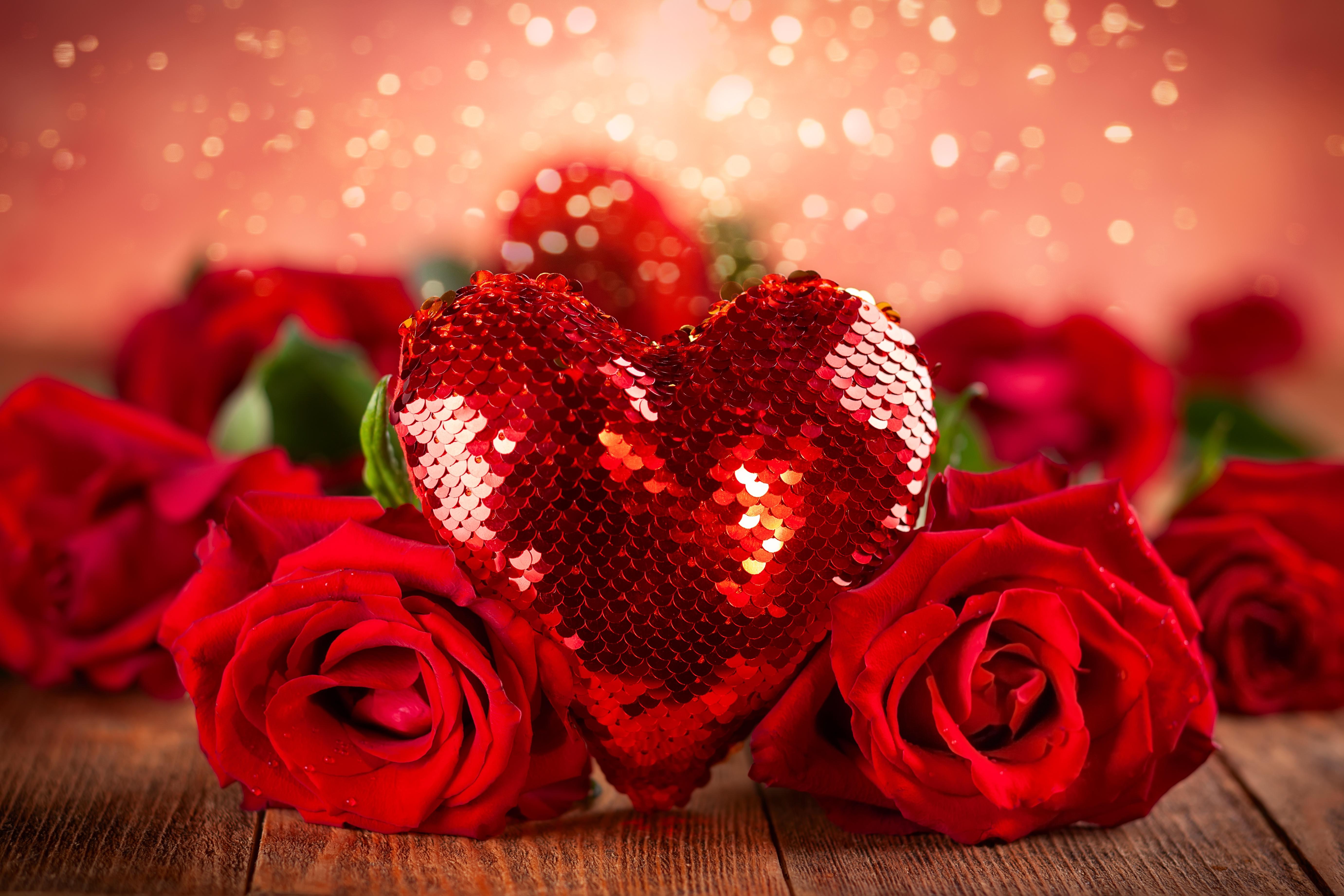 Valentine Flower Picture Wallpapers