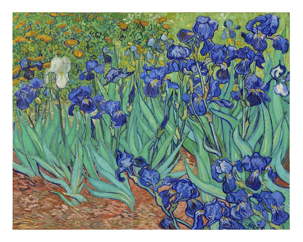 Van Gogh Irises Wallpapers