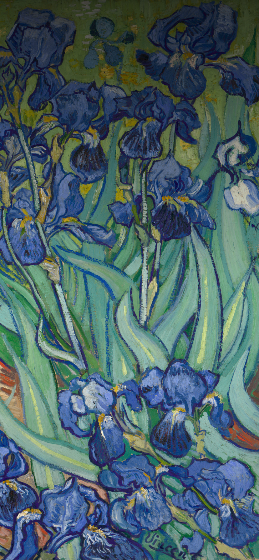 Van Gogh Irises Wallpapers