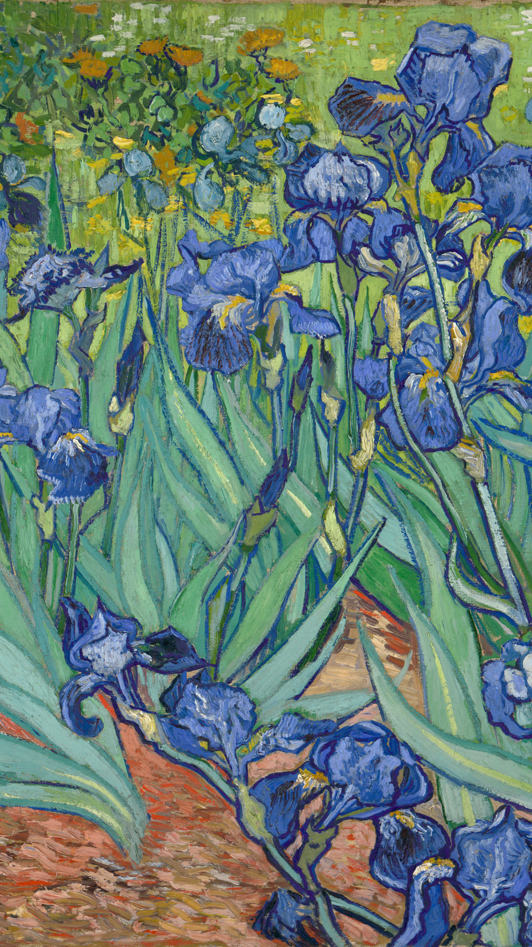 Van Gogh Irises Wallpapers