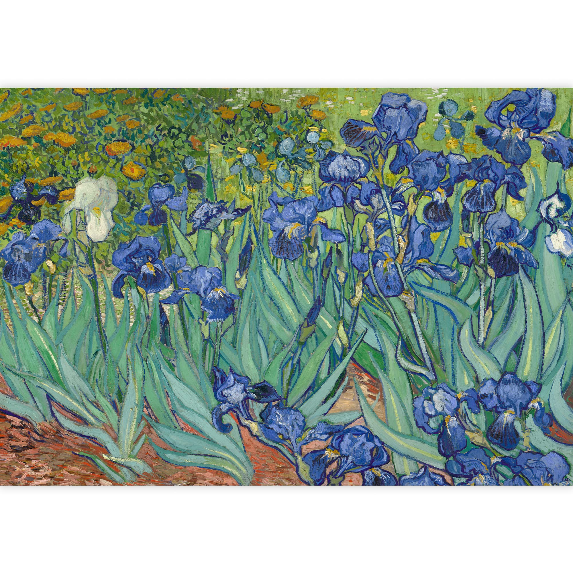 Van Gogh Irises Wallpapers