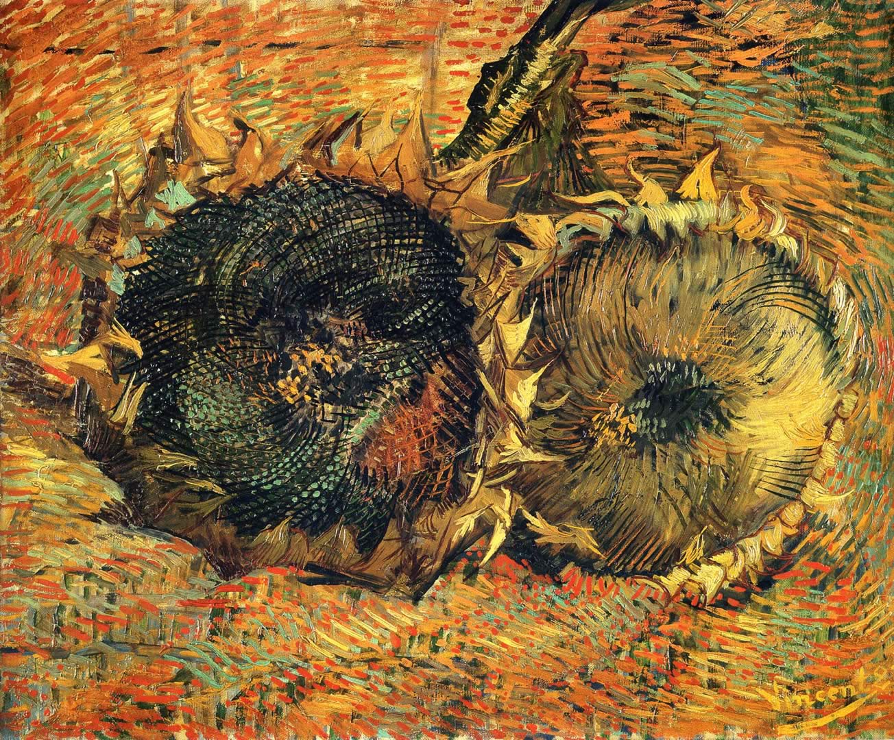 Van Gogh Sunflower Wallpapers