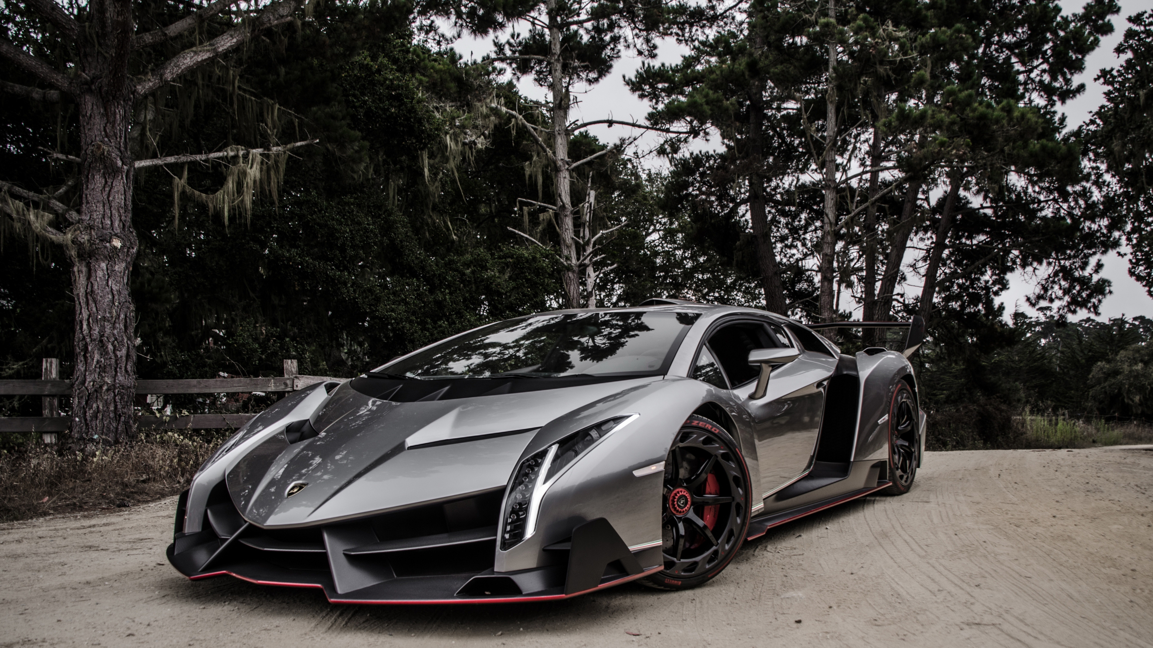 Veneno Wallpapers