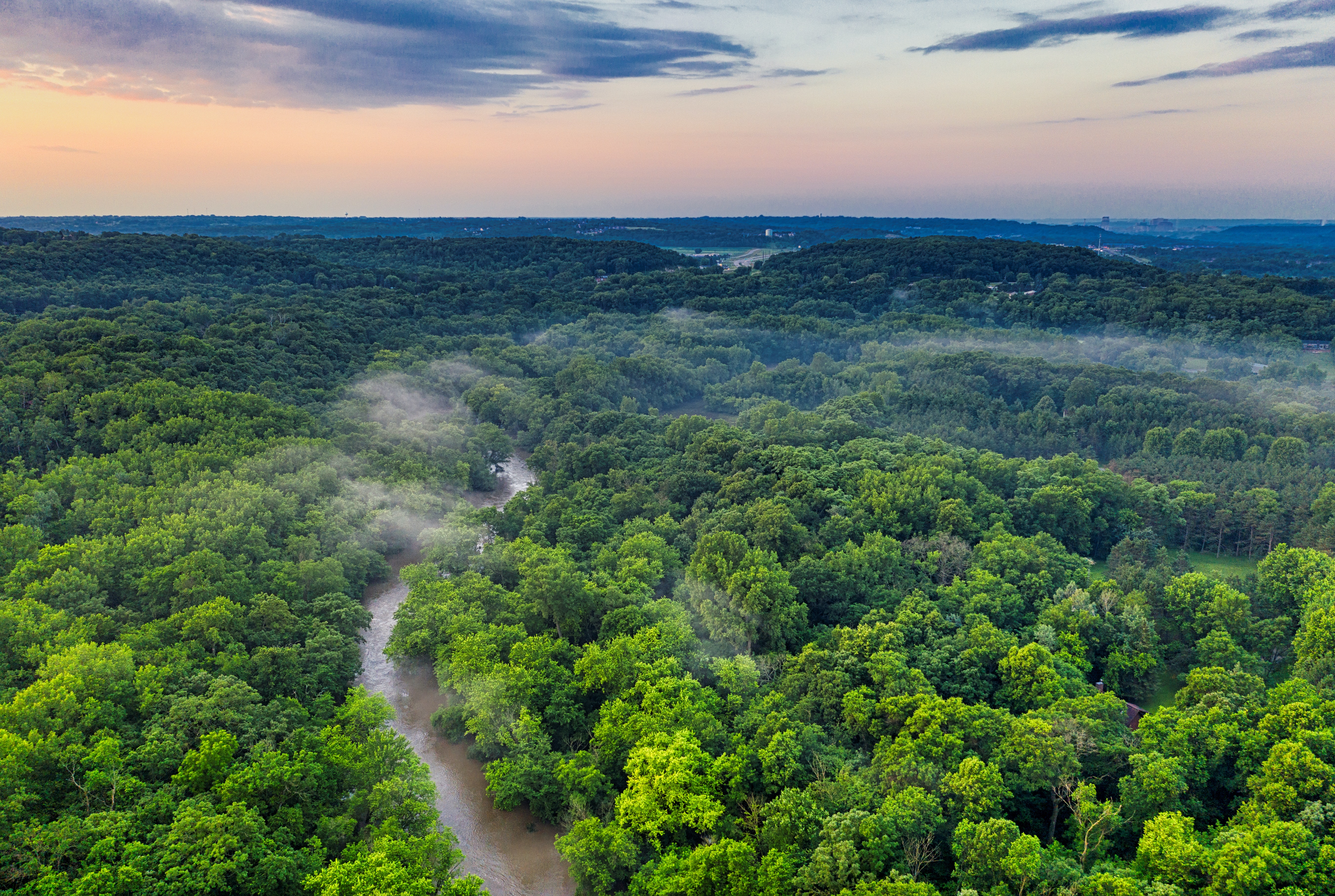 Venezuela Rainforest Wallpapers