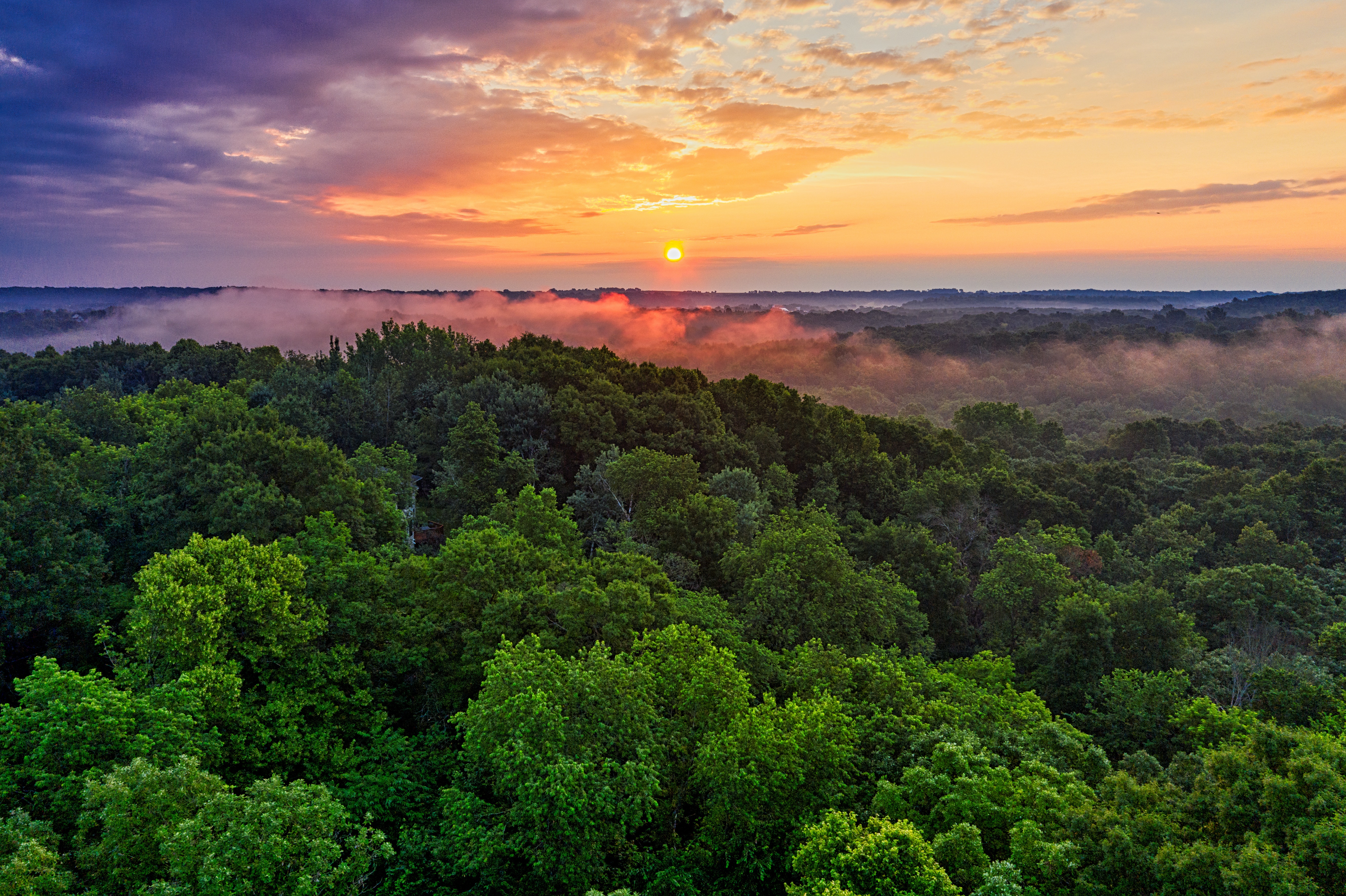 Venezuela Rainforest Wallpapers