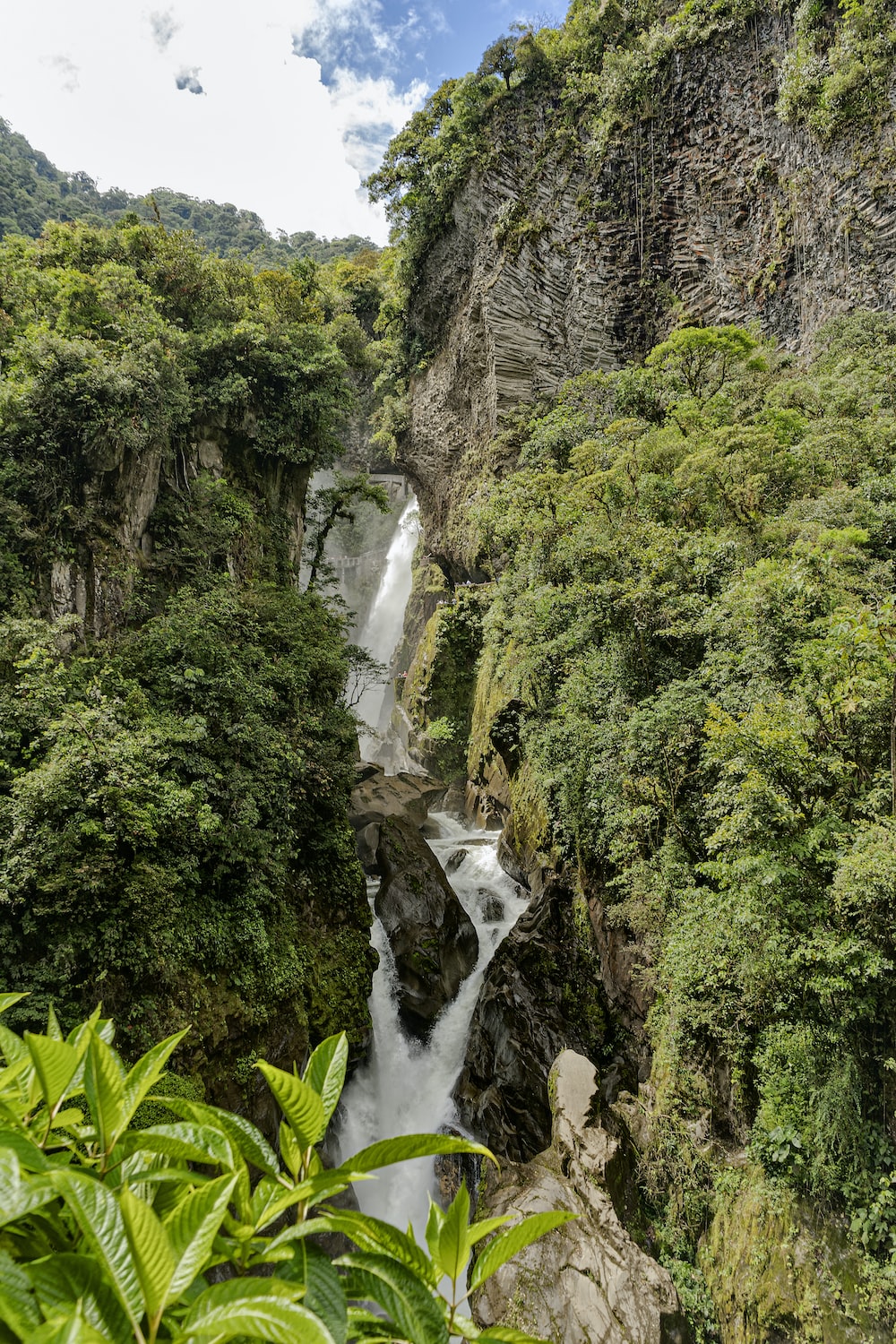 Venezuela Rainforest Wallpapers