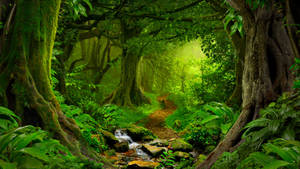 Venezuela Rainforest Wallpapers