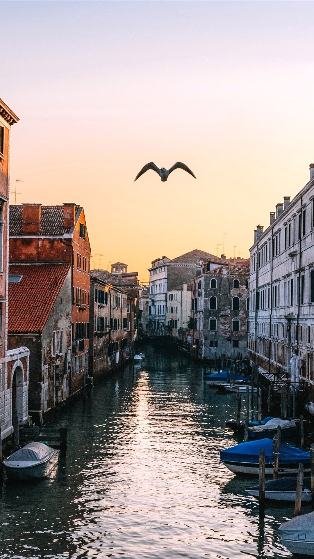 Venice 4K Wallpapers