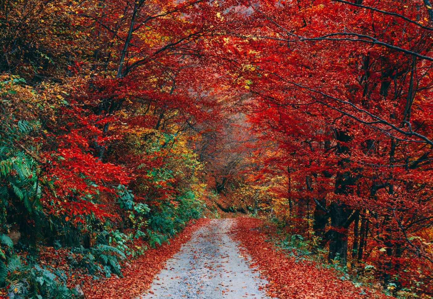 Vermont Fall Wallpapers