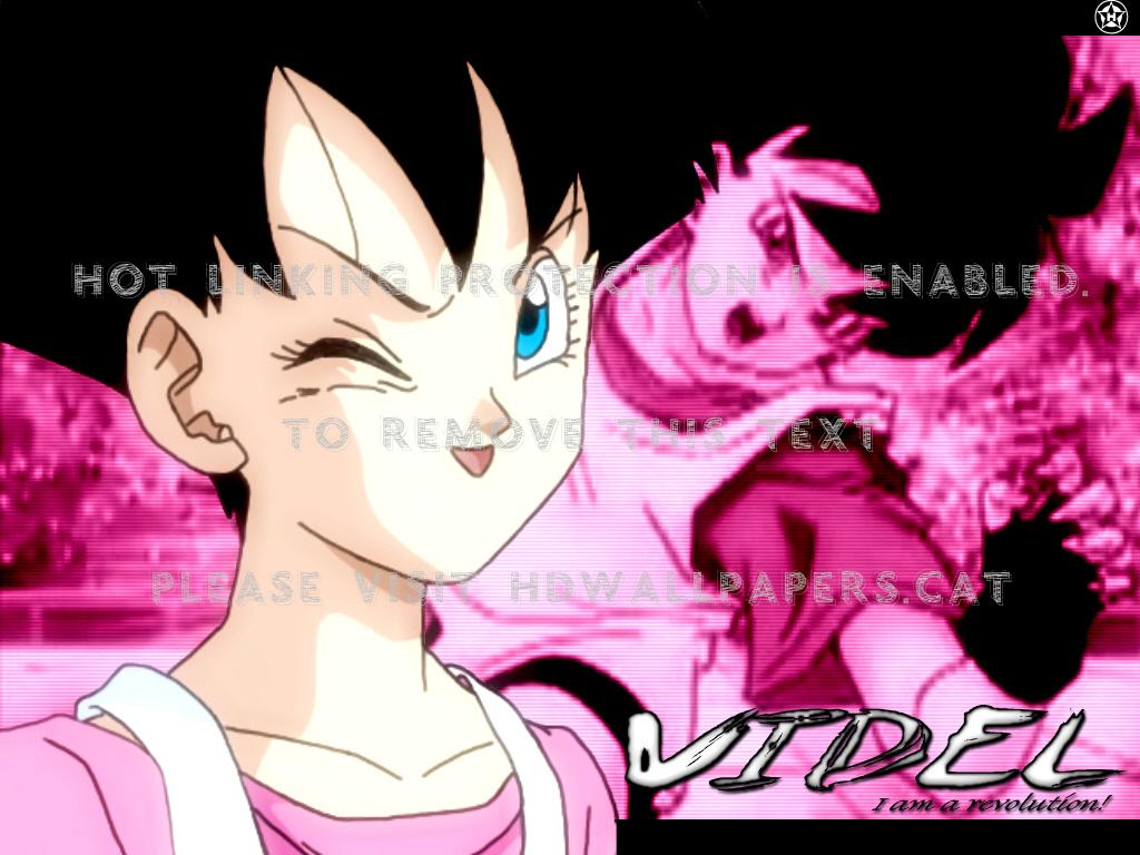 Videl Wallpapers