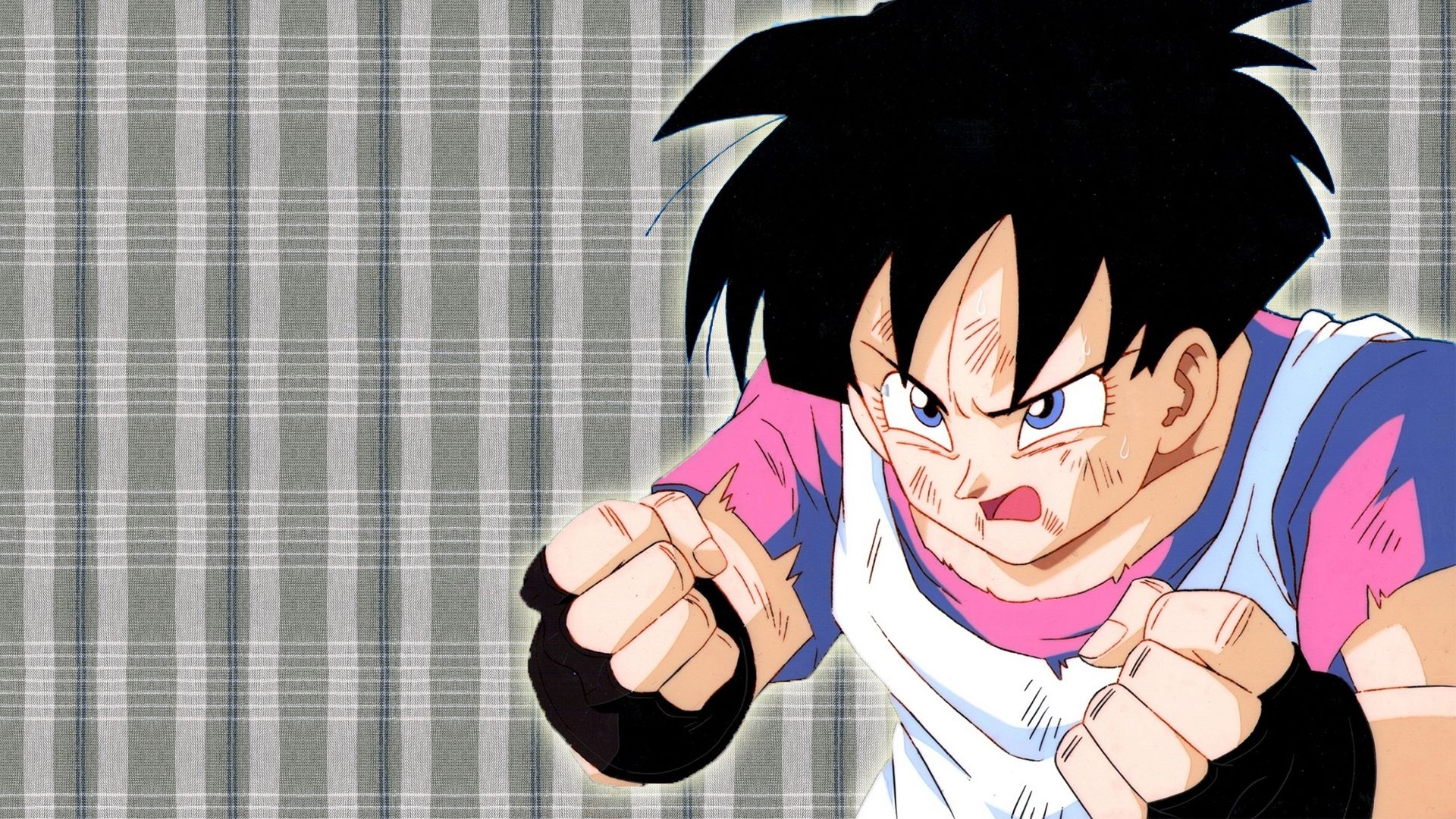 Videl Wallpapers