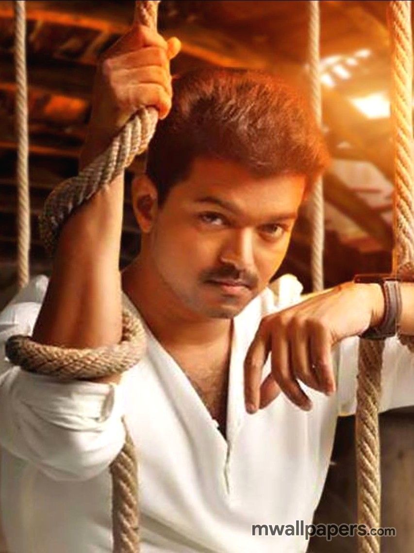 Vijay Photos Wallpapers