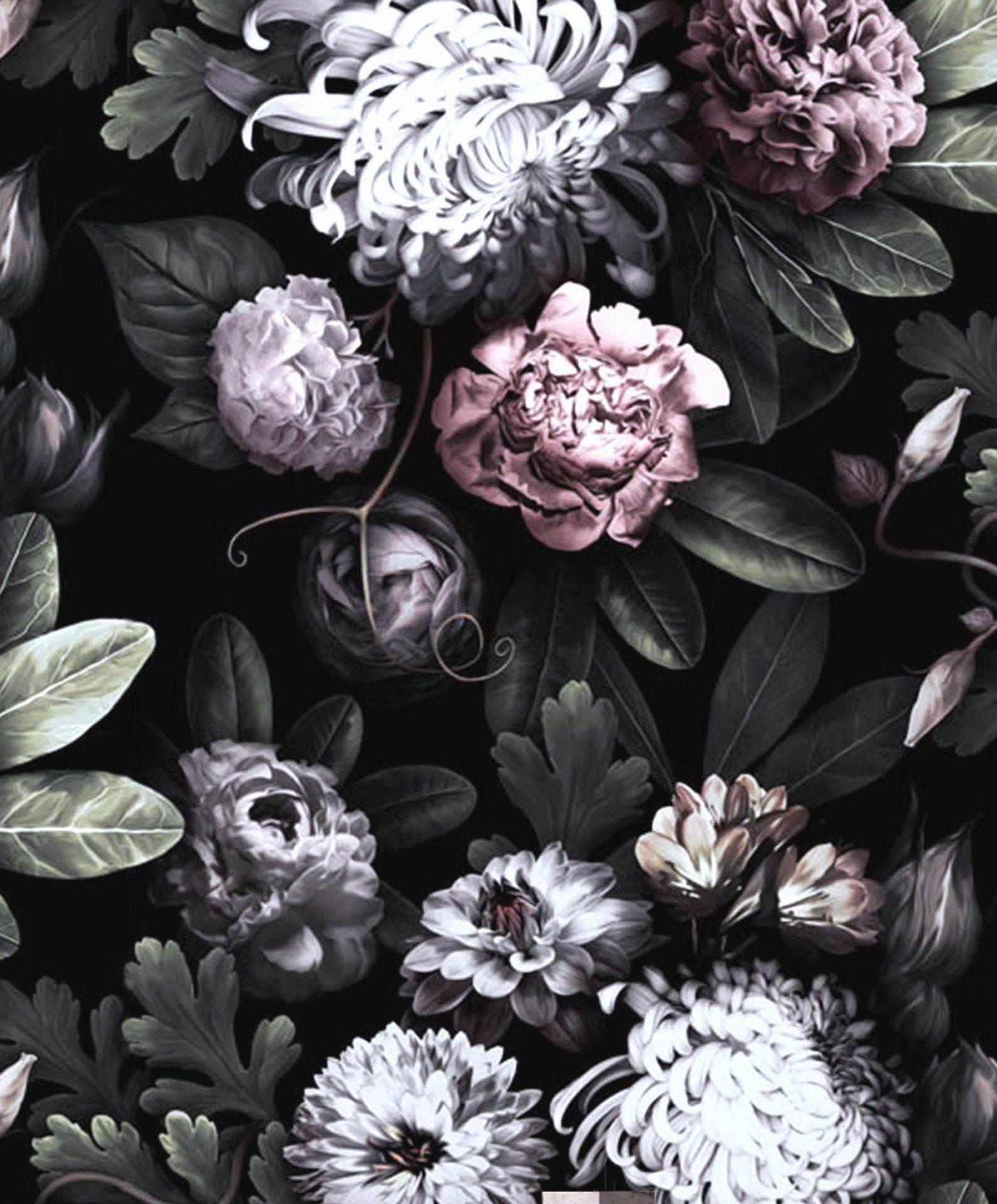 Vintage Black And White Flowers Wallpapers