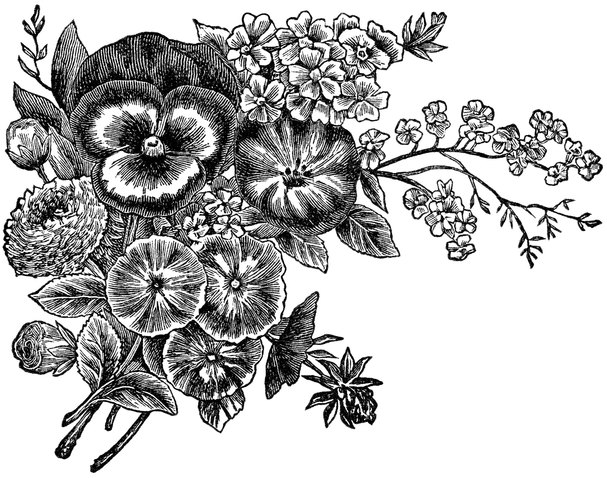 Vintage Black And White Flowers Wallpapers