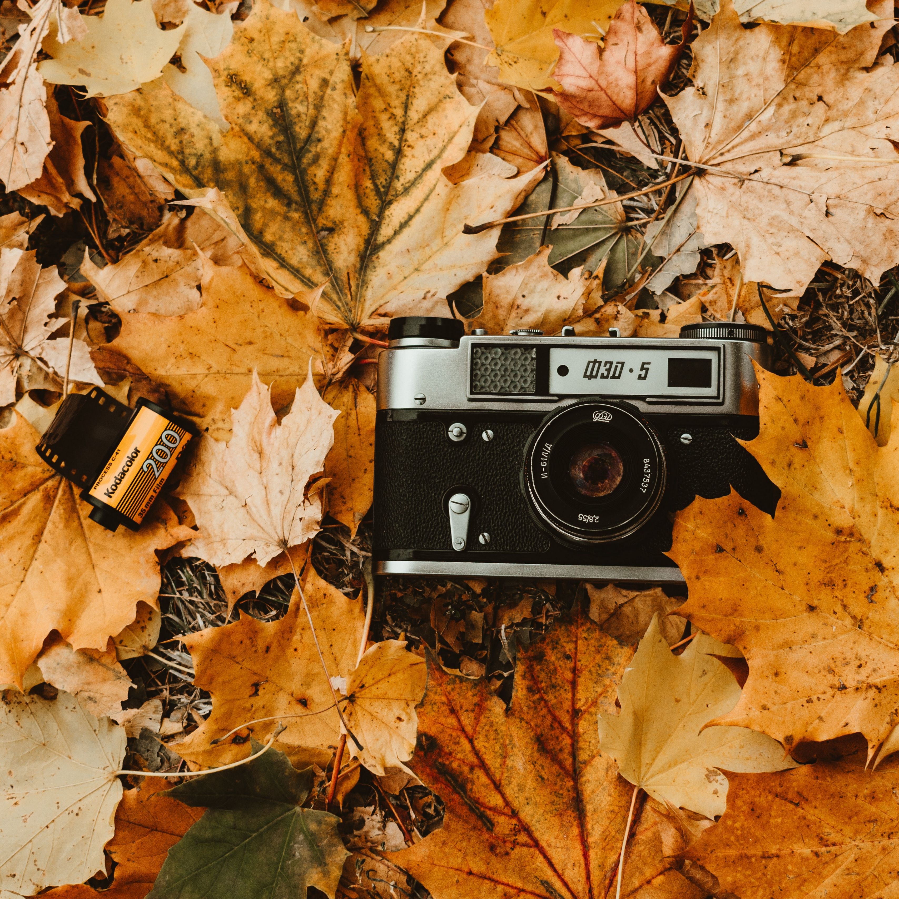 Vintage Camera Aesthetic Wallpapers