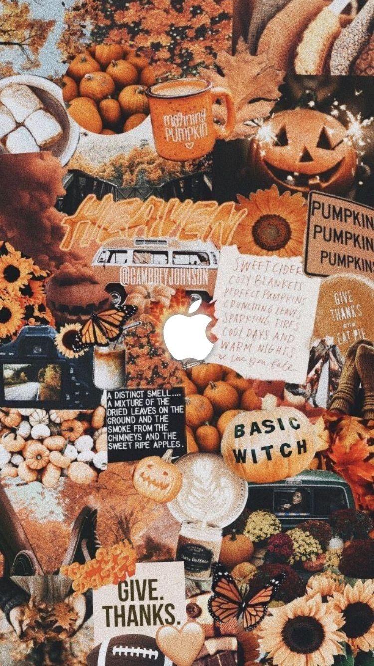 Vintage Pumpkin Wallpapers