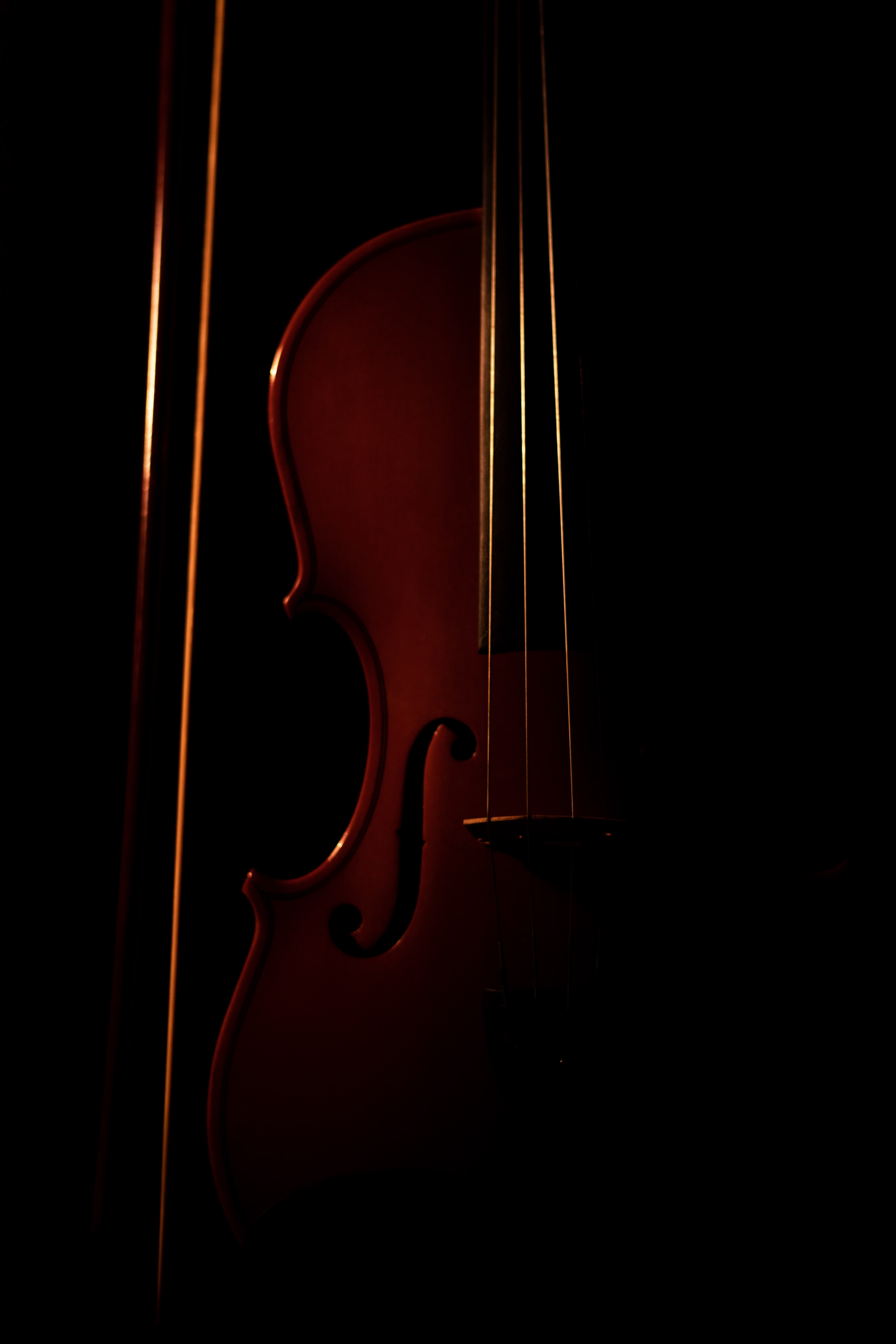 Violin For Iphone Wallpapers