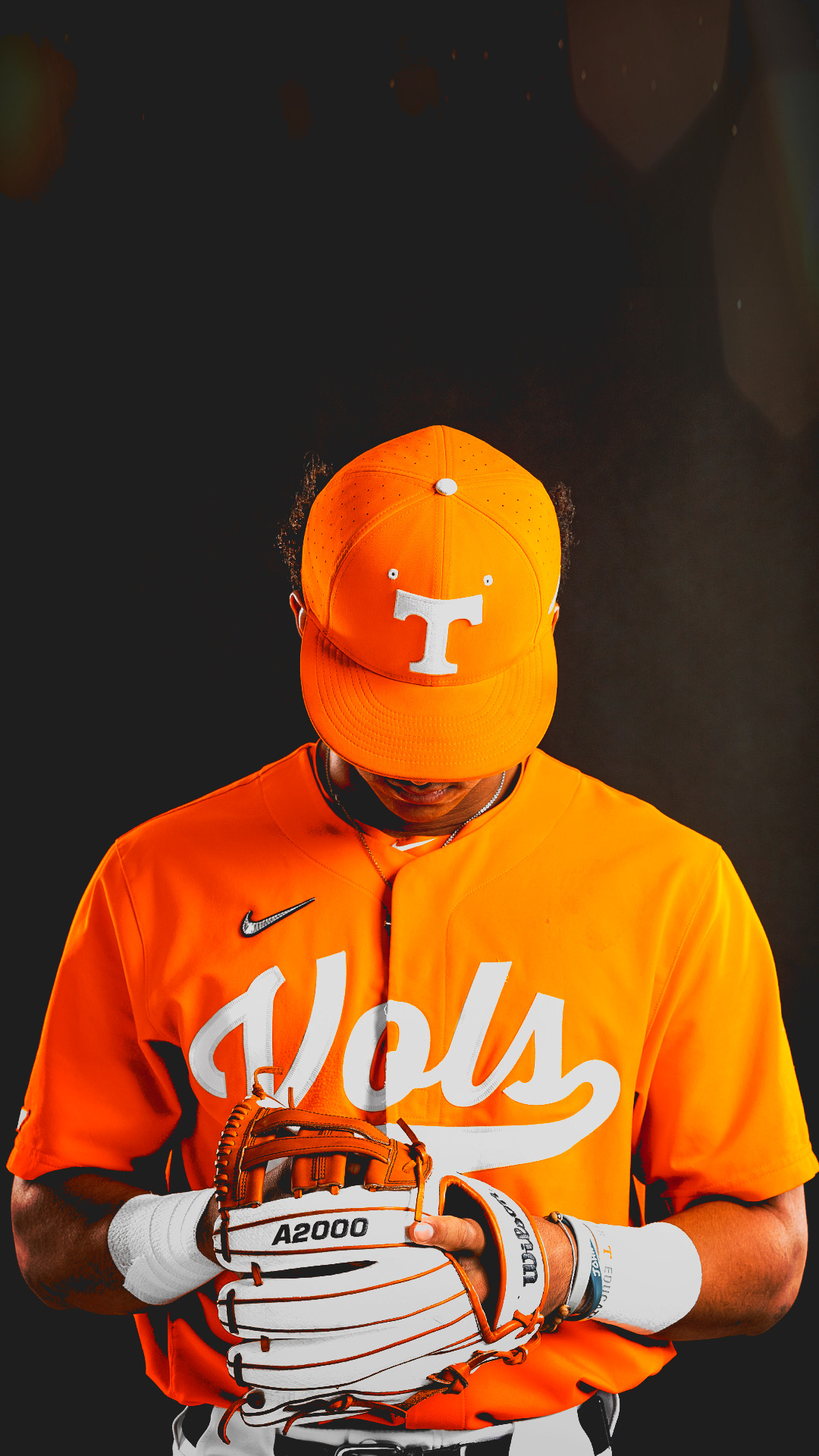 Vols Wallpapers