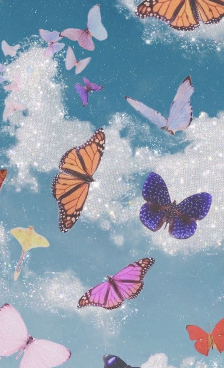 Vsco Butterfly Painting Wallpapers