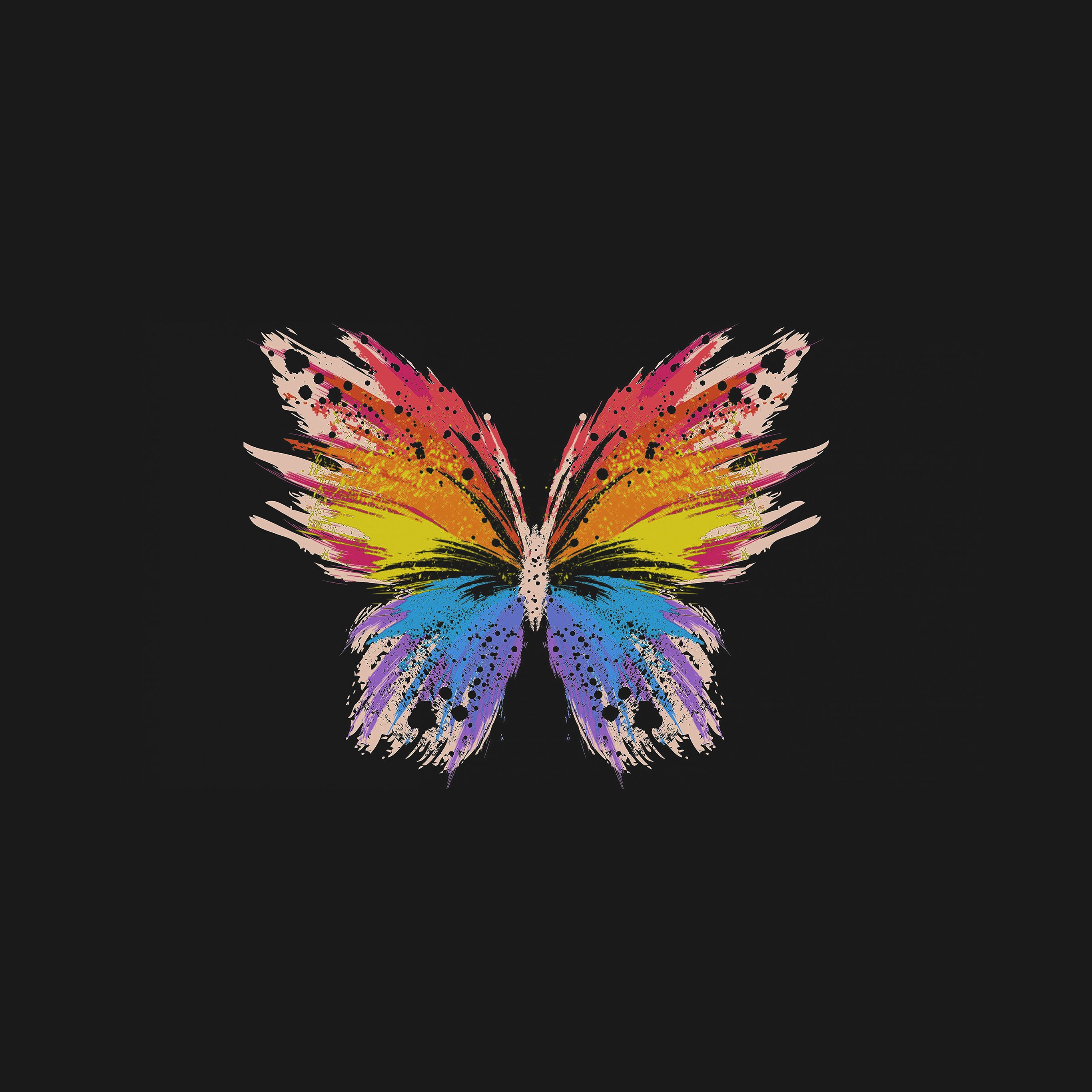 Vsco Butterfly Painting Wallpapers