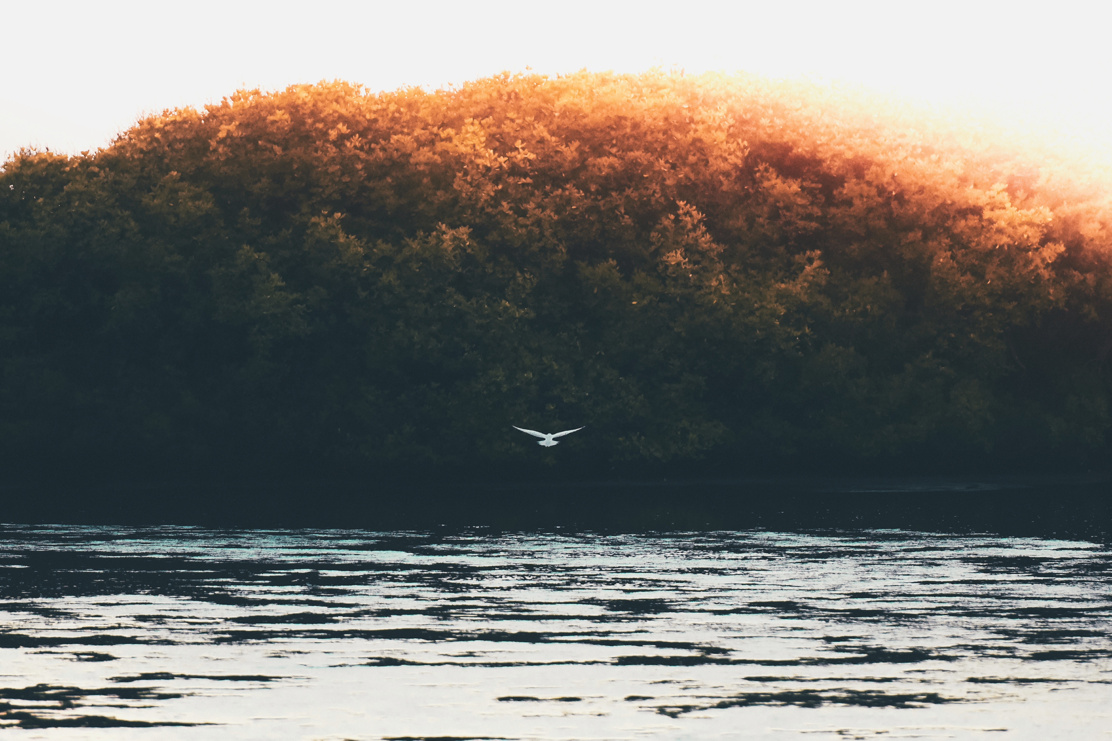 Vsco Nature Wallpapers