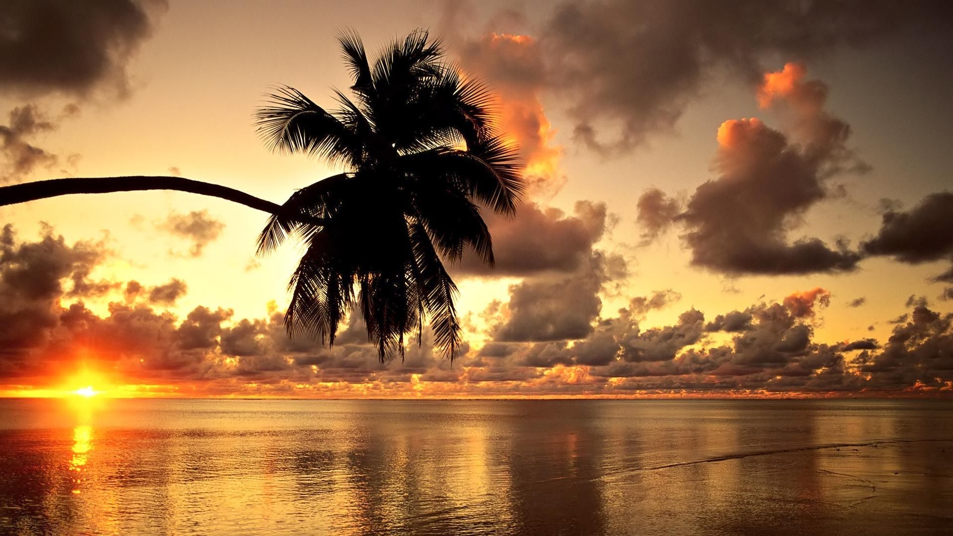 Waikiki Beach Sunset Wallpapers