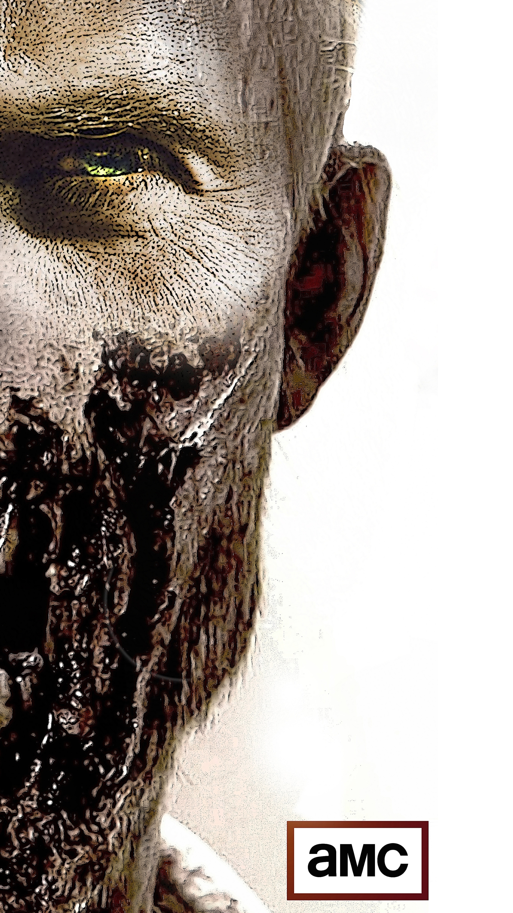 Walking Dead Zombies Wallpapers