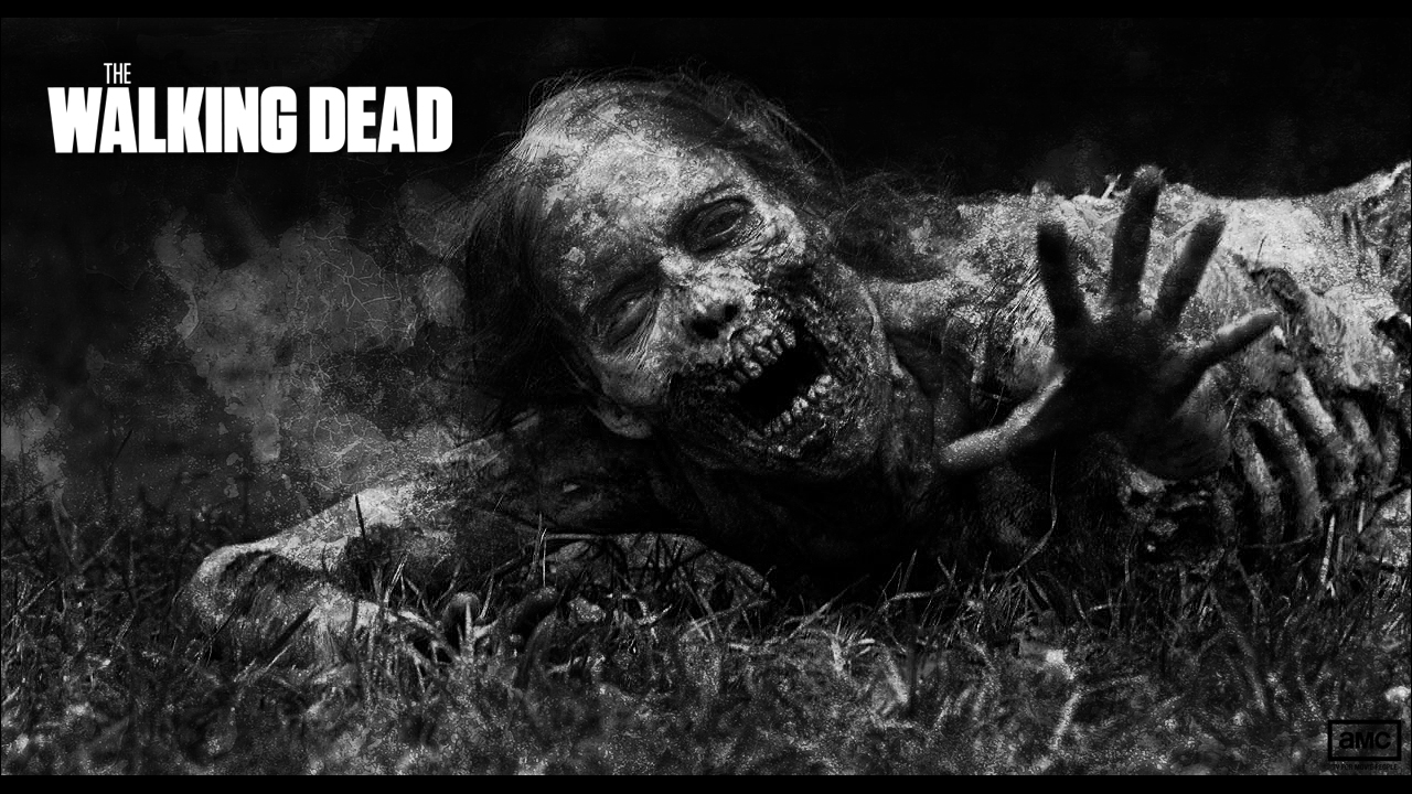 Walking Dead Zombies Wallpapers