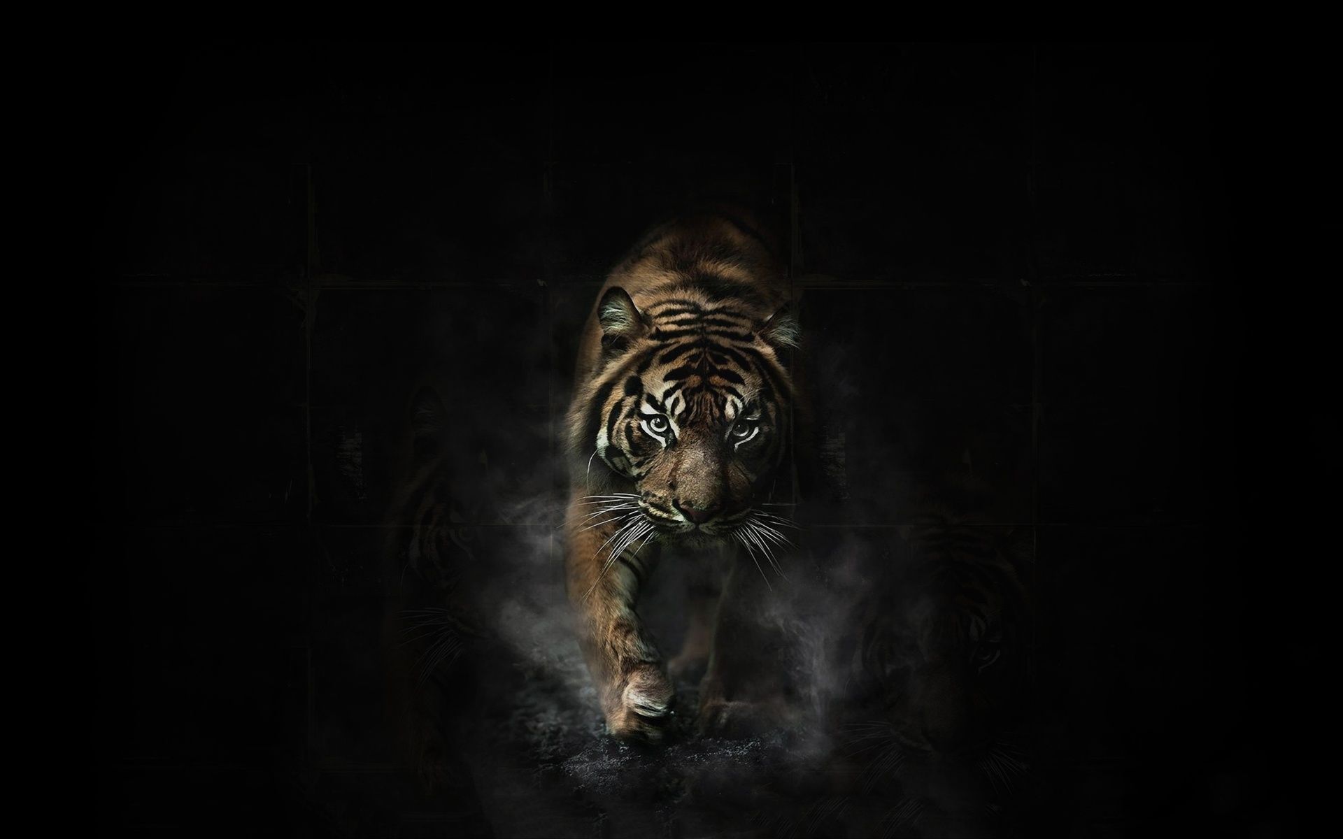 Wallpaper Bengal Tiger Wallpapers