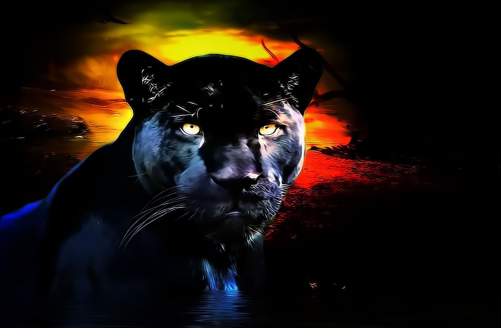 Wallpaper Black Panther Animal Wallpapers