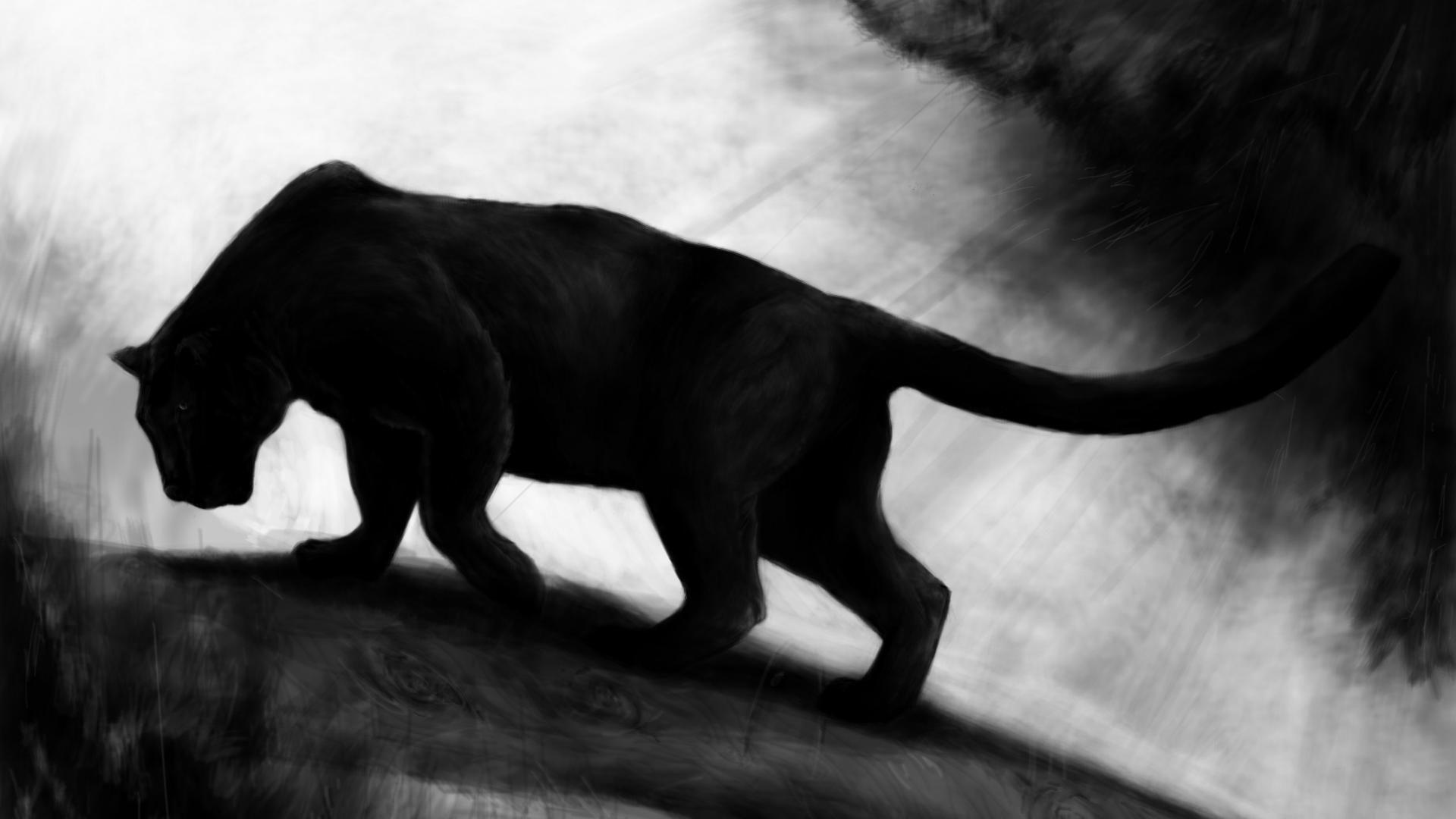 Wallpaper Black Panther Animal Wallpapers