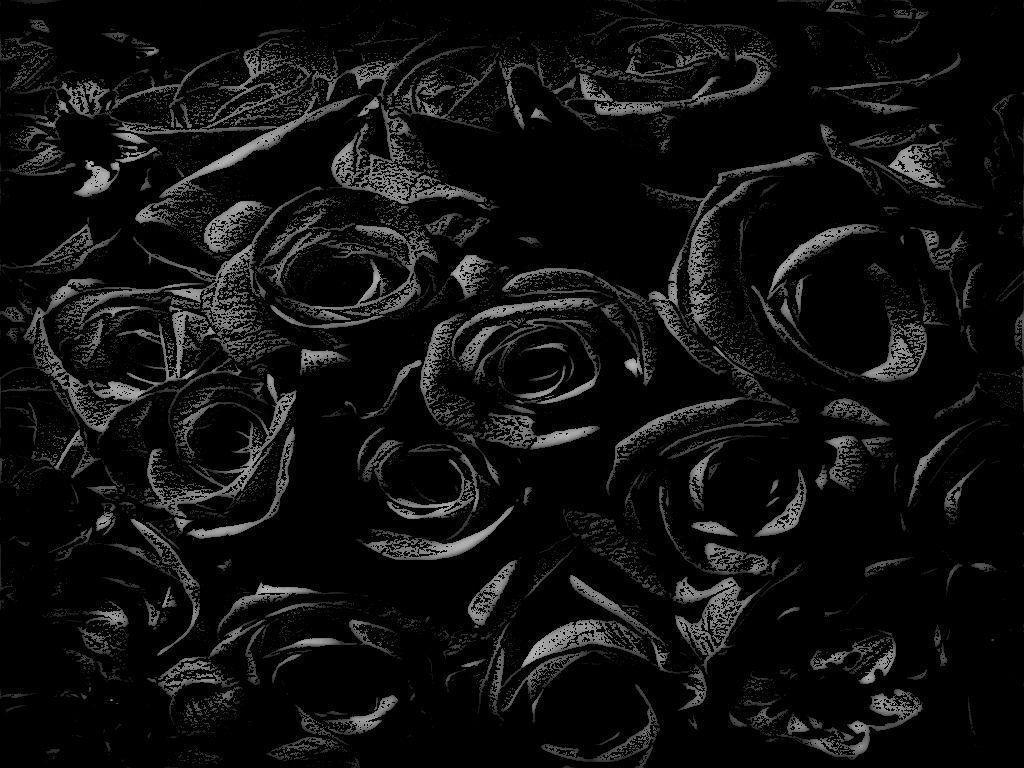 Wallpaper Black Roses Wallpapers