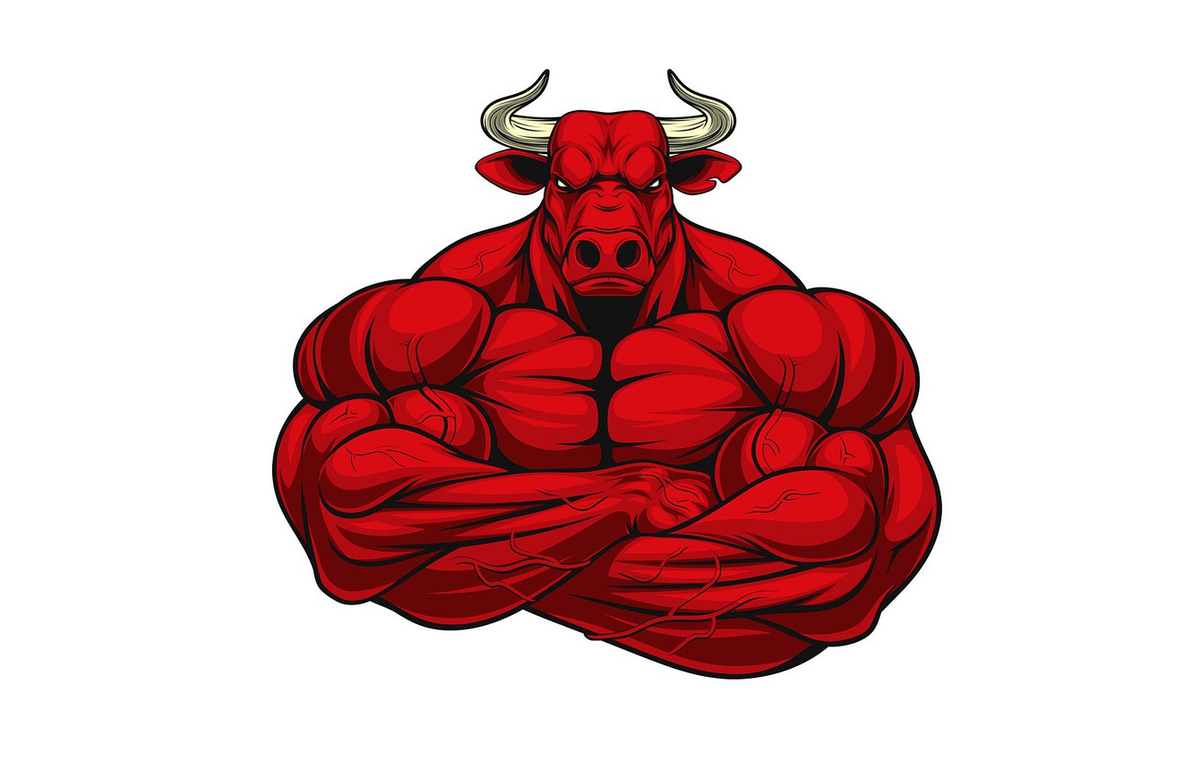 Wallpaper Bull Wallpapers