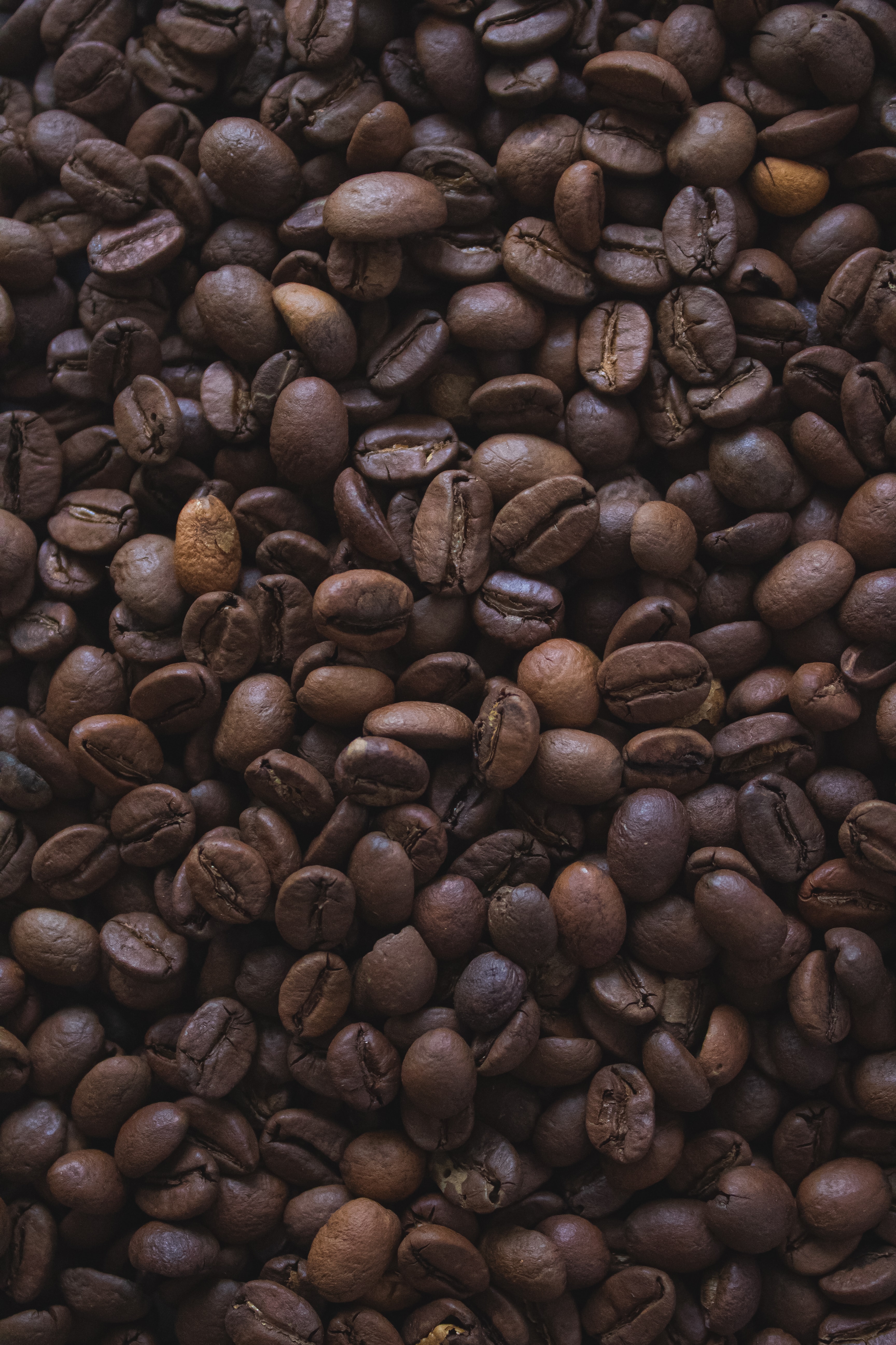 Wallpaper Coffee Beans Wallpapers