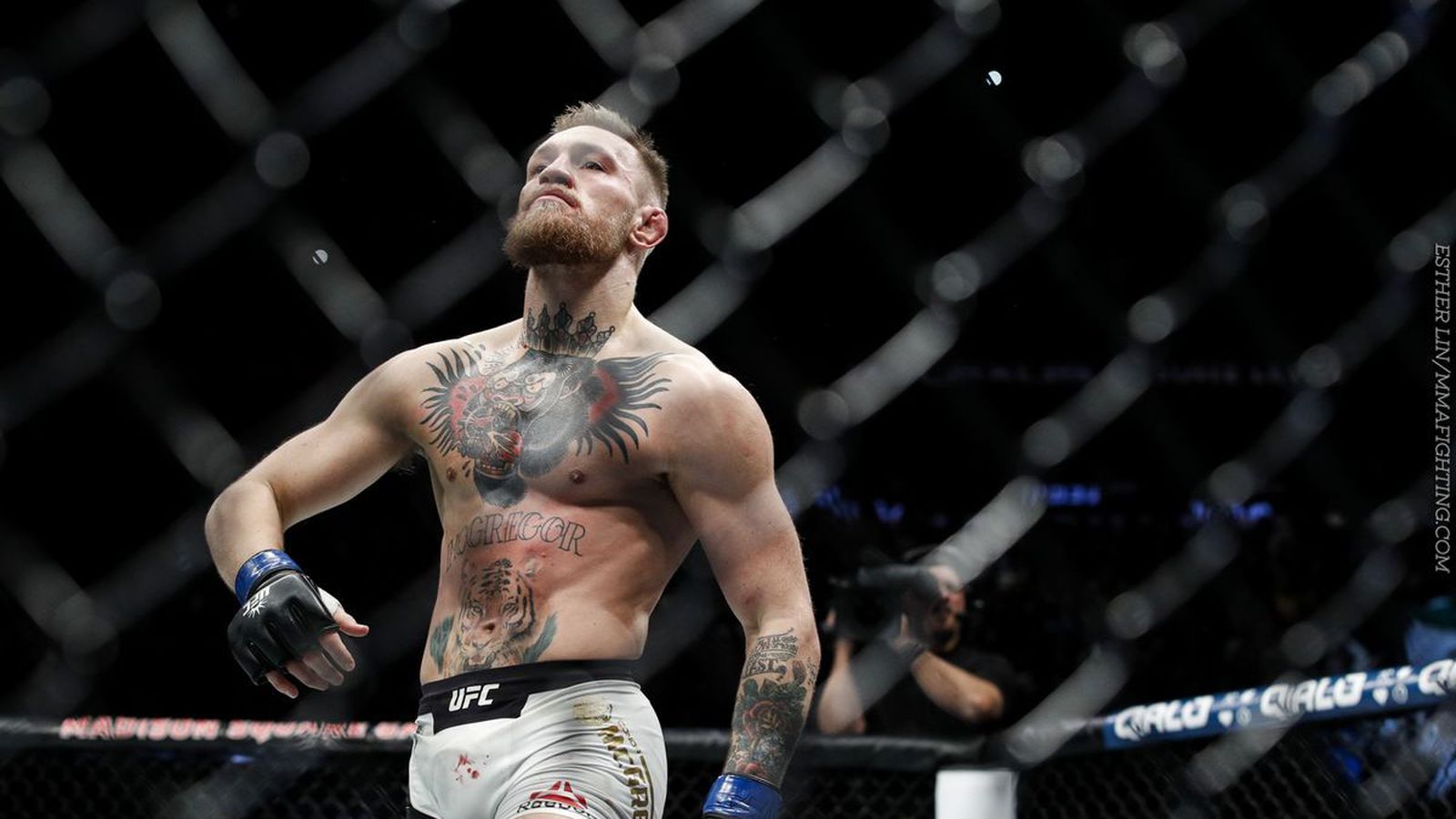 Wallpaper Conor Mcgregor Wallpapers