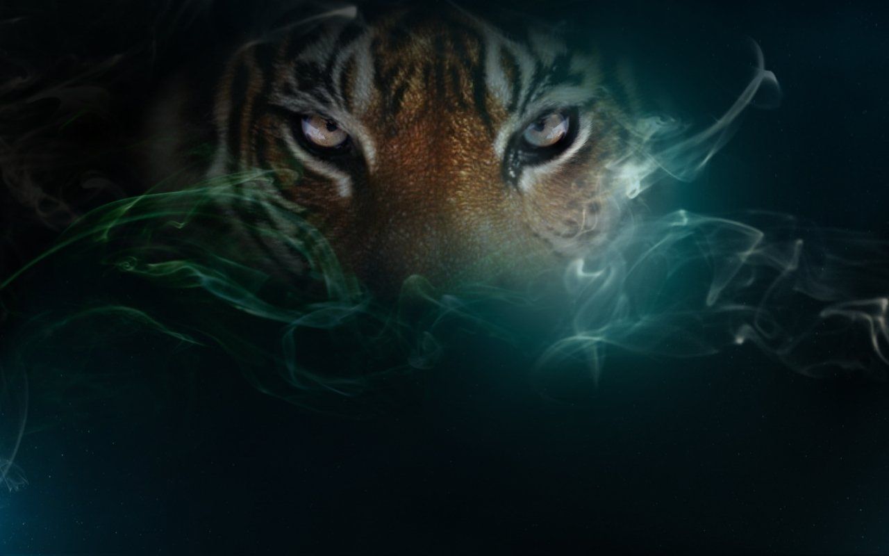 Wallpaper Cool Tigers Wallpapers