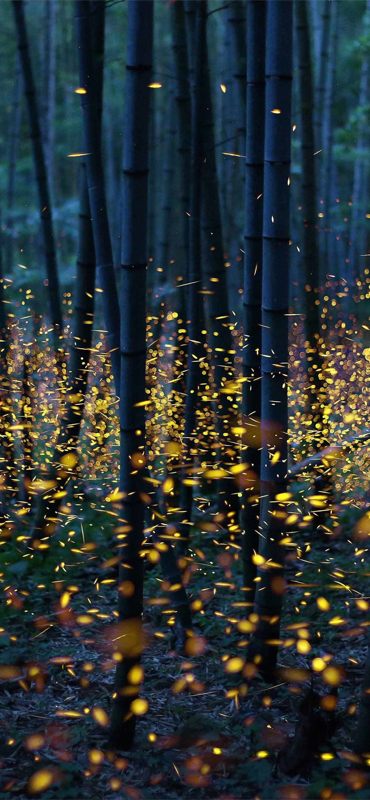 Wallpaper Fireflies Wallpapers