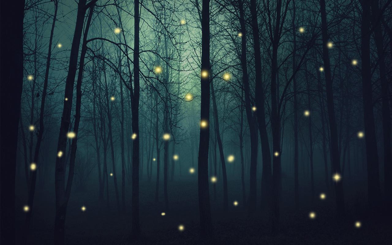 Wallpaper Fireflies Wallpapers