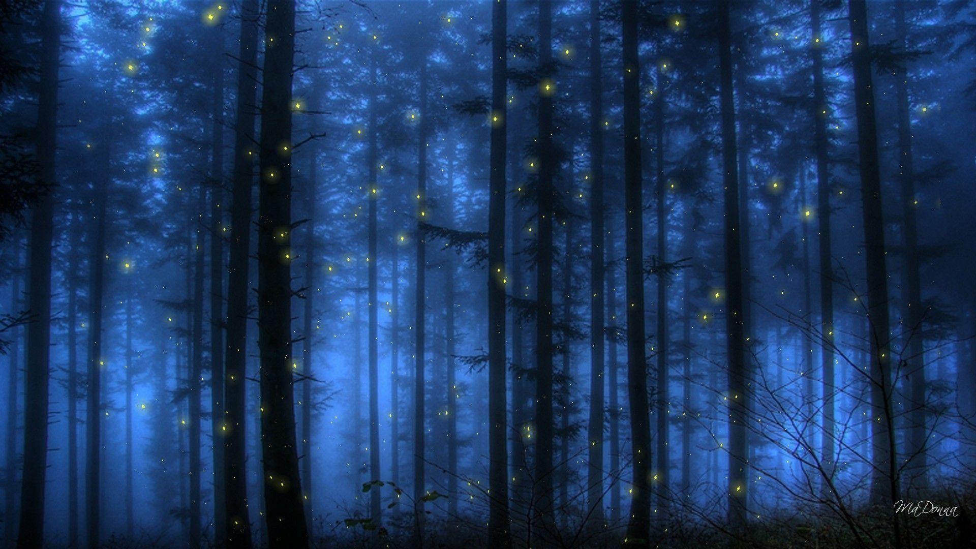 Wallpaper Fireflies Wallpapers