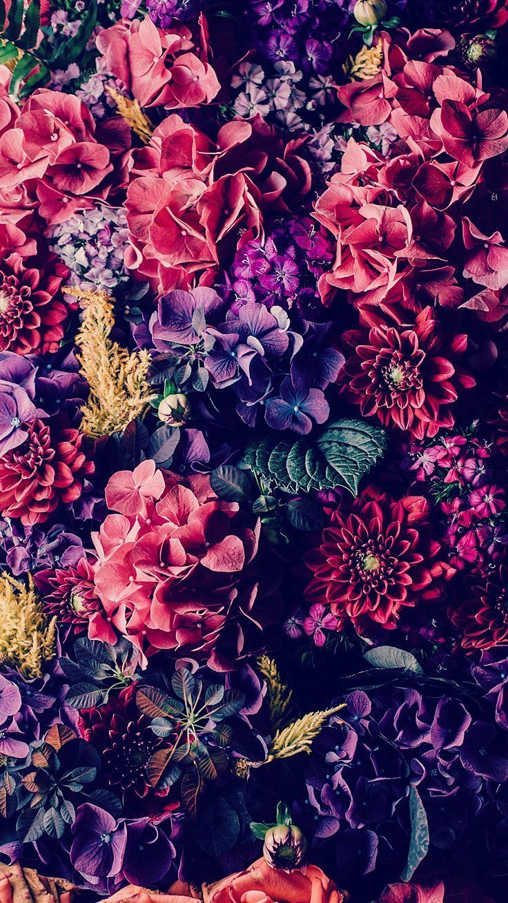 Wallpaper For Phone Flowers Wallpapers