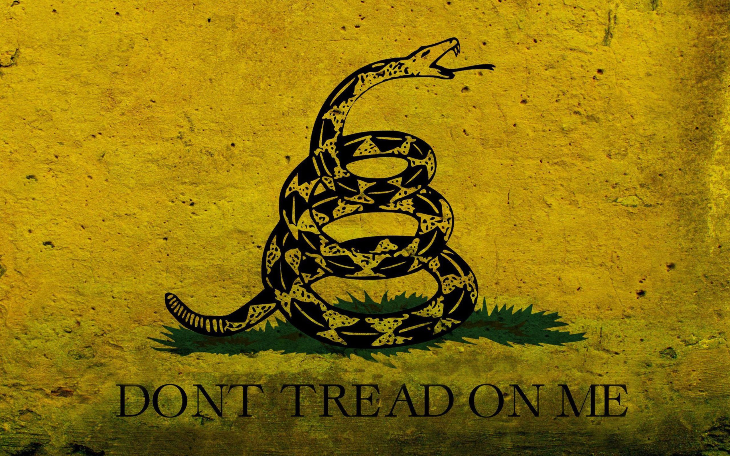 Wallpaper Gadsden Flag Wallpapers