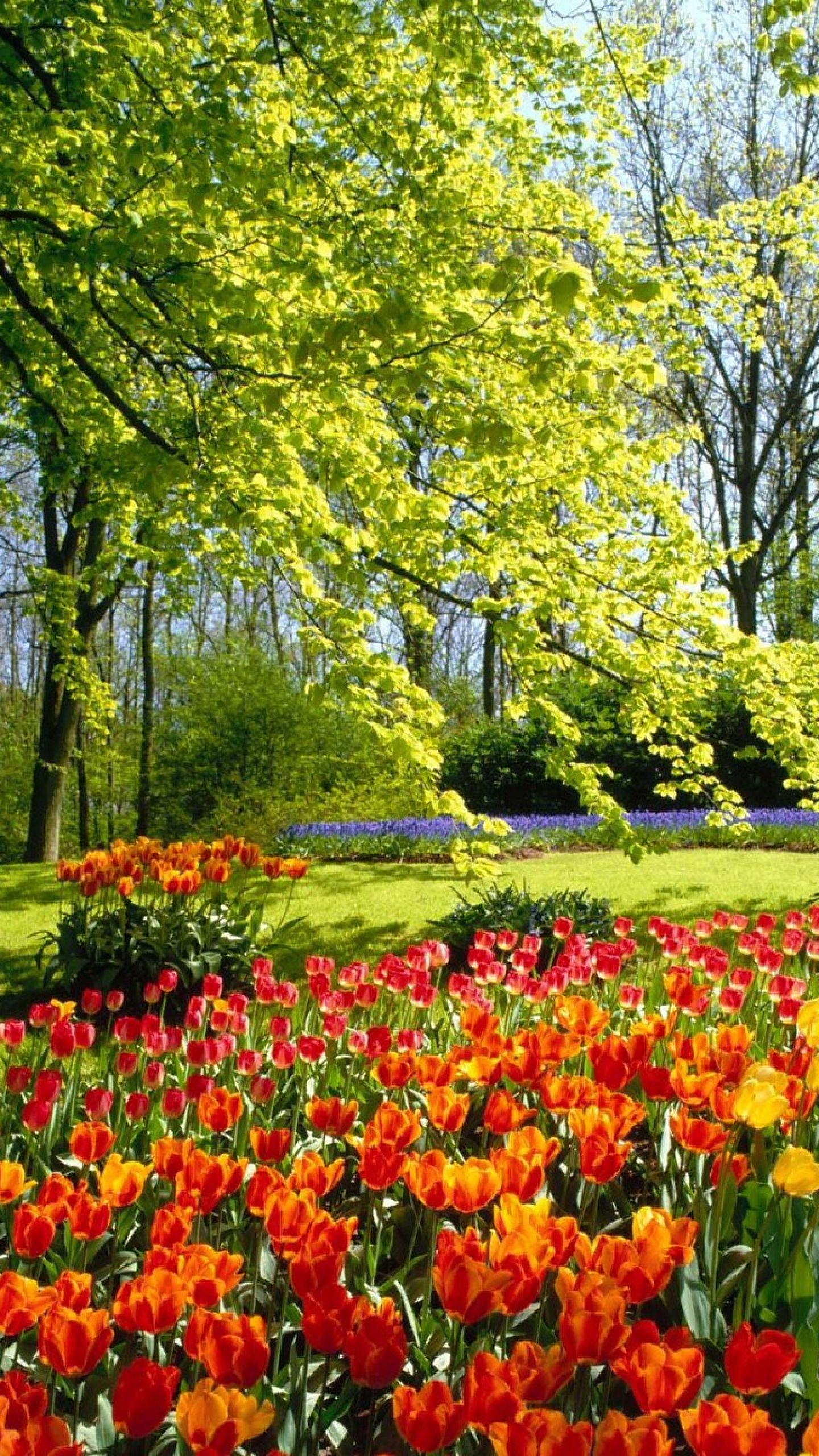 Wallpaper Garden Wallpapers