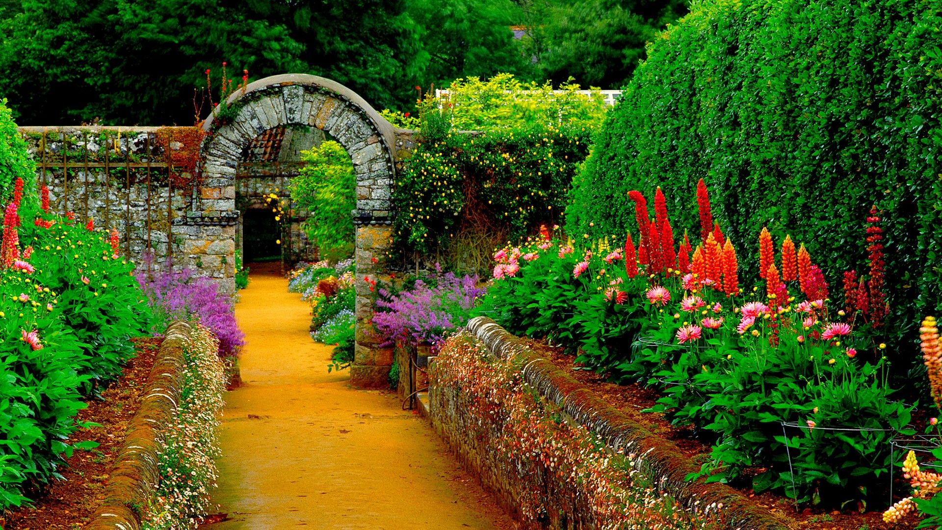 Wallpaper Garden Wallpapers